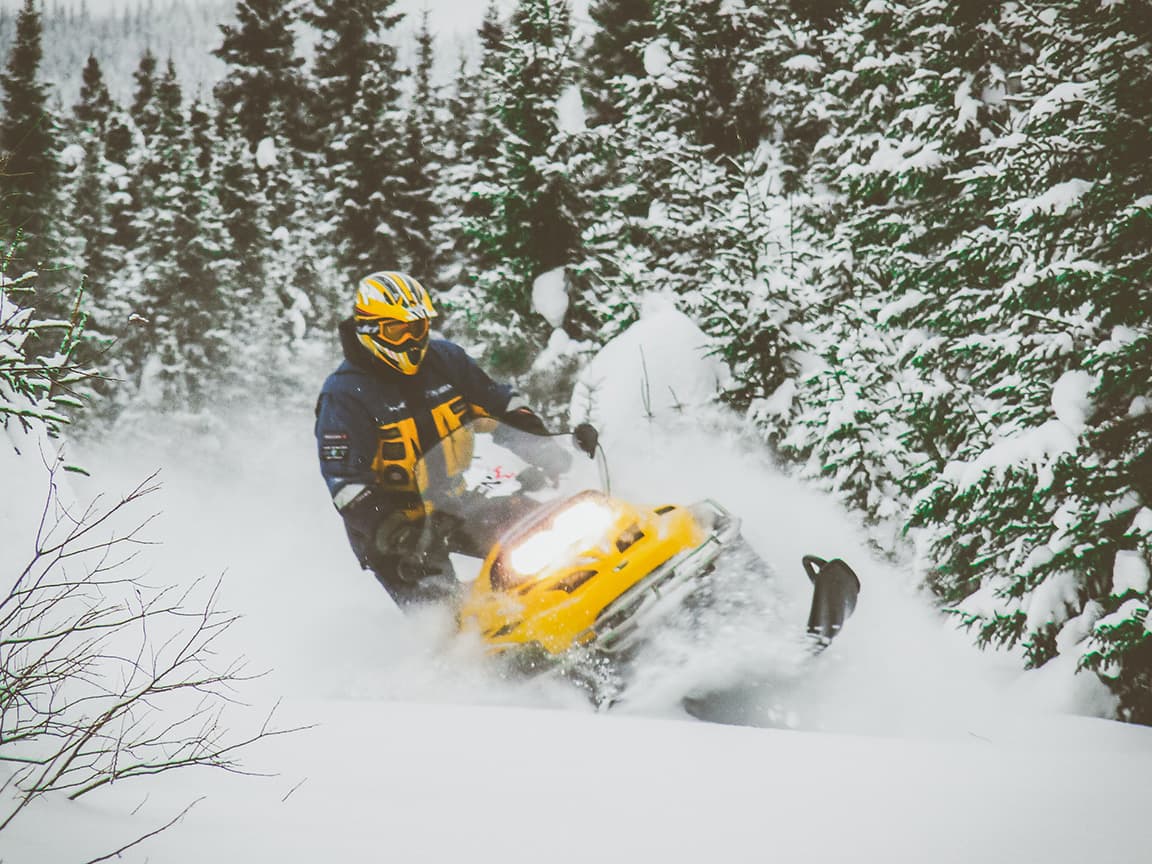 Skidoo Newsletter