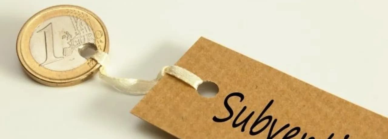Subvention